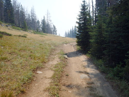 GDMBR: We cycled this segment.